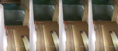 探花200810202027130.